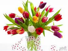 صور ورد جميل hd 2024 أجمل صور أزهار وورود رومانسية طبيعية  صور ازهار الربيع