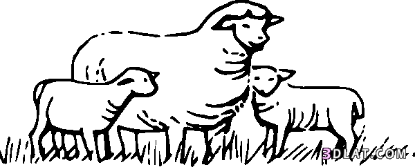 سكرابز خروف العيد للتصميم 2024 , أجمل سكرابز لعيد الاضحى ,سكرابز خروف العيد