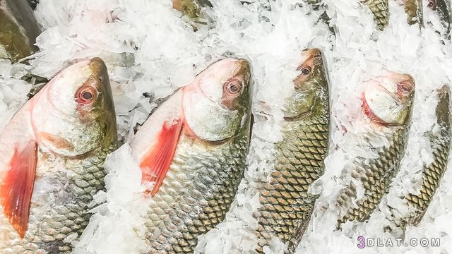 اسرع طريقة لإذابة السمك المجمّد,كيفية اذابة السمك المجمد