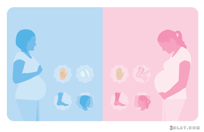 تحديد نوع الجنين متى وكيف , كيف يمكن التحكم في نوع الجنين