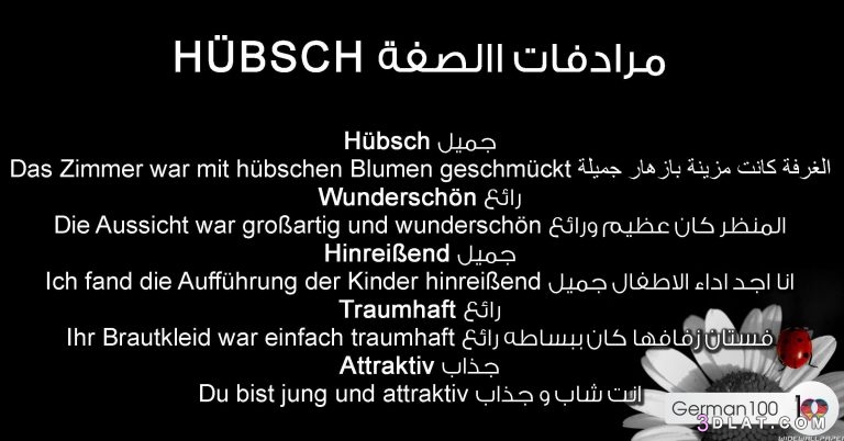 مرادفات الصفة Hübsch – تعلم اللغة الالمانية