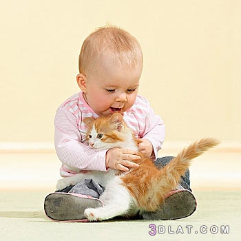 تربية القطط والاطفال ،أضرار القطط على الأطفال المنافع التربوية من تربية ال