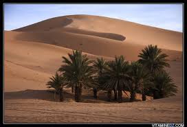 تاغيت سحر الصحراء في الجزائر