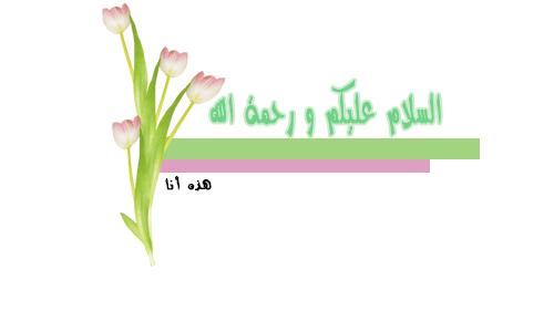 تكريم المواضيع المميزة في قسم فساتين زفاف و خطوبة لشهر 5/2024