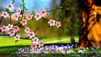 صور زهور رومانسية للعشاق - اروع خلفيات ورود - صور زهور جذابة ملونة - خلفيات زهور لسطح المكتب - رمزيات زهور طبيعية لعيد الحب