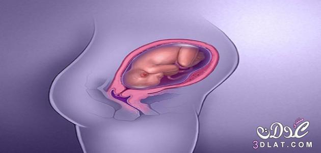 كيفيه زياده حجم الجنين بسرعه, تحذيرات للحامل, وصايا لابد من اتباعها للحامل