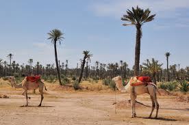 السياحة في المغرب - صور من المغرب - سحر الطبيعة في المغرب