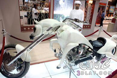 دراجة نارية يبلغ سعرها نحو مليون درهم وهي على شكل الحصان "سكيب",تعرف على هذه الدراجة