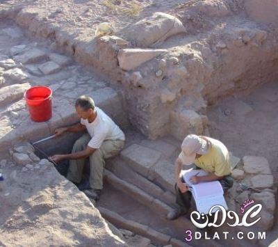 6 اكتشاف حدائق البتراء الأثرية بعد 2000 عامٍ من النسيان