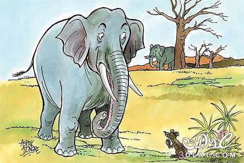 قصة الفيلة وملك الفئران , قصة جميلة بها حكمة اجمل , اجمل القصص القصيرة للأطفال