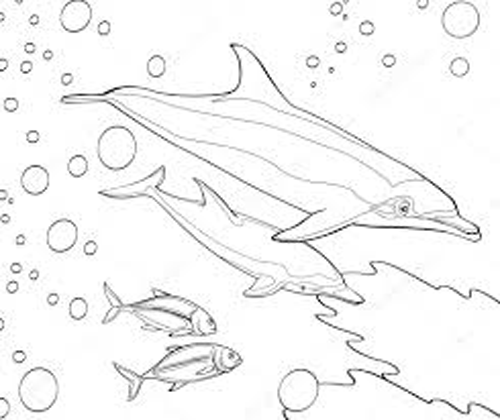 صور رسومات حيوانات و أسماك للتلوين , رسومات روووعة للتلوين للاطفال