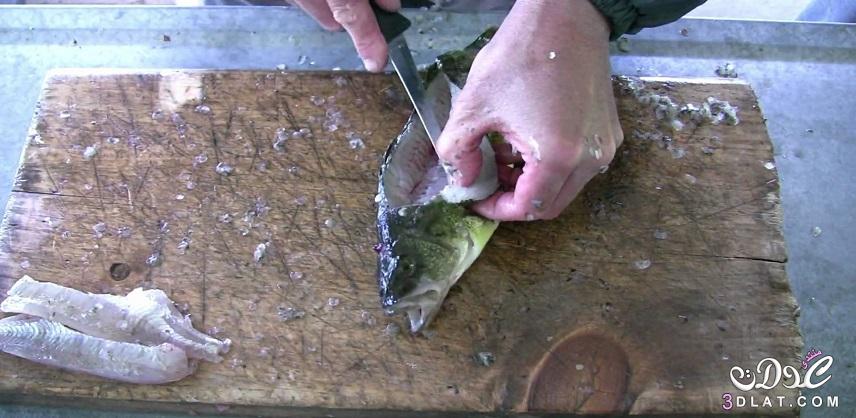 طريقة تنظيف السمك2024,فوائد السمك,كيفية تنظيف السمك,نصائح تنظيف السمك