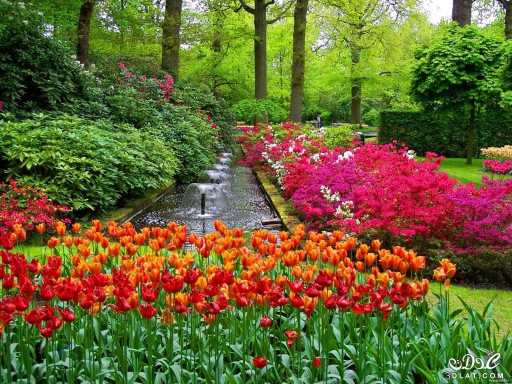 صور طبيعية جميلة جدااا , أروع صور طبيعية من موسم تفتح الأزهار , صور حدائق و شلالات غاية في الروعة و الجمال