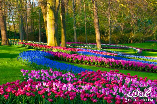 صور طبيعية جميلة جدااا , أروع صور طبيعية من موسم تفتح الأزهار , صور حدائق و شلالات غاية في الروعة و الجمال