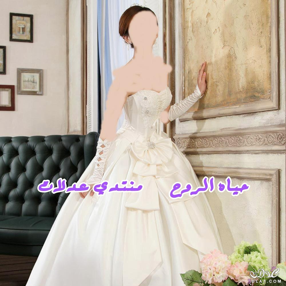 فساتين زفاف راقيه,أحدث موديلات فساتين الزفاف 2024,تصاميم عالميه لفساتين الزفاف