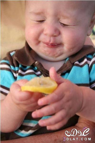 صور طريفة للاطفال 2024 الاطفال والليمون الحامض بصور رائعه صور اطفال طريفه مع الليمون
