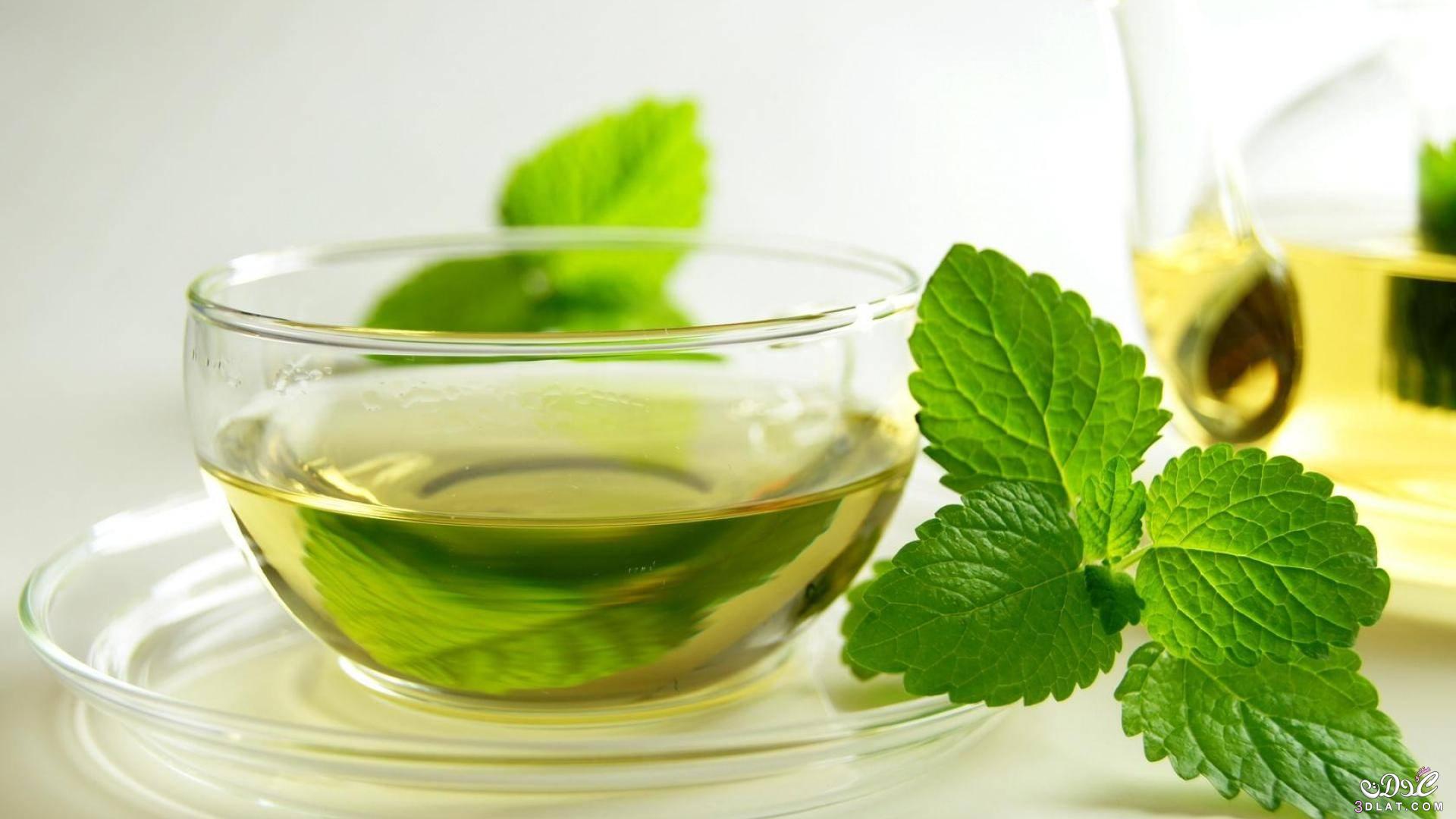 4 فوائد لشرب الشاى الأخضر قبل النوم.. تعرف عليها