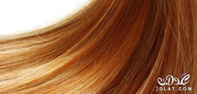 خشونة الشعر, وصفات طبيعية لتنعيم الشعر,وصفات لتنعيم الشعر كالحرير فى المنزل