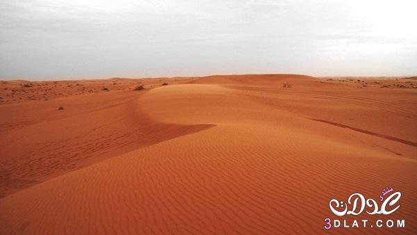 صحراء الدهناء ، معلومات عن صحراء الدهناء