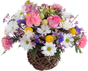 لمحبين الزهور والورود باقات ورد جميله،ورود وزهور ما أروعها   سبحان الخالق العظيم