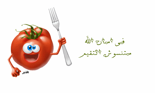 الفول الفلسطينى بالطماطم ( من مطبخى ) بالصور
