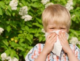 أمراض الربيع عند الأطفال,ما الامراض المعرضه للاطفال في فصل الربيع,حافظي علي طفلك بفصل الربيع
