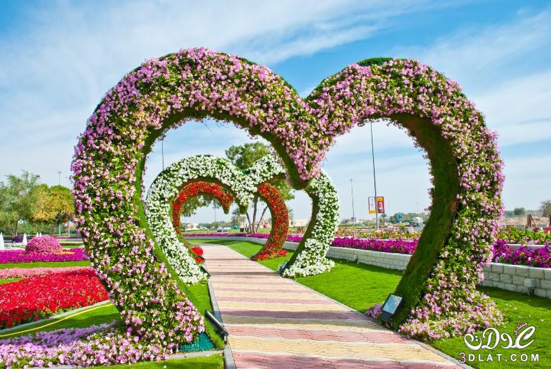 حديقة العين برادايس في الإمارات .. تدخل موسوعة جينيس 2024