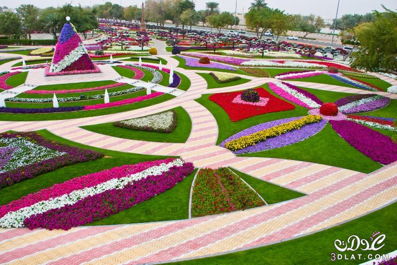 حديقة العين برادايس في الإمارات .. تدخل موسوعة جينيس 2024