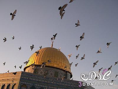مقال عن القدس الشريف 2024 , بحث عن القدس الشريف , مقدمة عن المسجد الاقصي والقدس , موض
