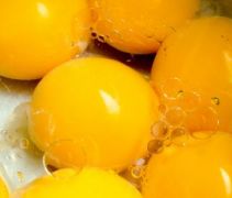 اضرار صفار البيض,أضرار وتأثيرات كثرة تناول صفار البيض