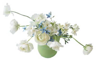اجمل الزهرات البيضاء ماشاء الله ،ورود وزهور بيضاء  ما أروعها سبحان الخالق العظيم