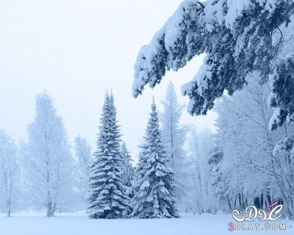 خلفيات ثلوج رائعة صورخلفيات ثلوح للشتاء للتصميم، خلفيات للشتاء2024 صور شتاءلتصميمات