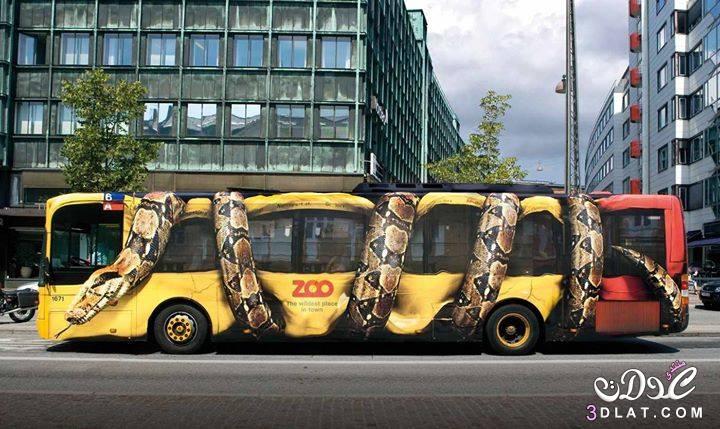 صور غريبة وطريفة لبعض الحافلات