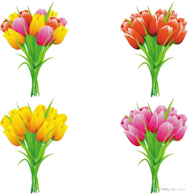 سكرابز زهور الربيع الملونة سكرابز زهور جديد سكرابز رهيب لربيع  لربيع 2024