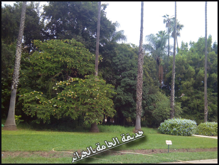 بعدستي حديقة الجامعه ، اجمل ما التقطت عدستي حديقة الحامة ومقام الشهيد بالجزائرالعاصمة
