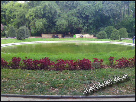 بعدستي حديقة الجامعه ، اجمل ما التقطت عدستي حديقة الحامة ومقام الشهيد بالجزائرالعاصمة