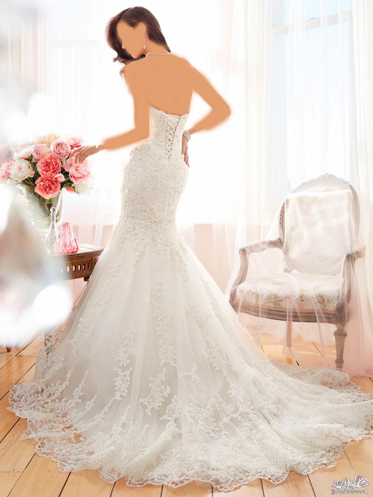 أحدث تصاميم فساتين الزفاف.اختاري فستان زفافك على زوقك 2024