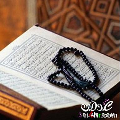 تأملات قرآنية| التفسير الميسر لسورة العاديات