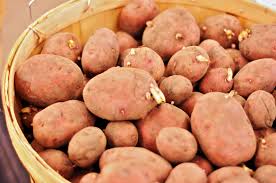 فوائد البطاطا البطاطس.10 فوائد لا تعرفها للبطاطا.فوائد البطاطا.فوائد البطاطس