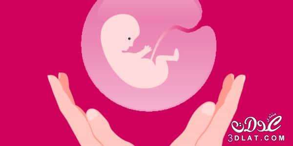 أعشاب تفتح الرحم للإجهاض, أعشاب  تساعد على الإجهاض, اعشاب للاجهاض