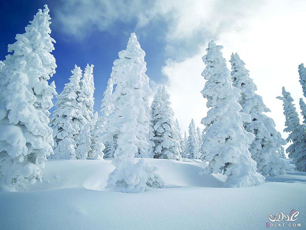صور رائعه للثلوج , لمحبي الثلج صور جميله للثلوج , صور للثلج