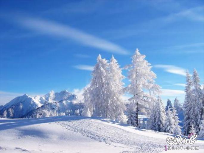 صور رائعه للثلوج , لمحبي الثلج صور جميله للثلوج , صور للثلج
