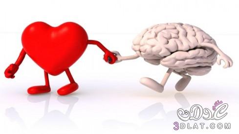 ما العلاقة بين القلب والعقل ؟