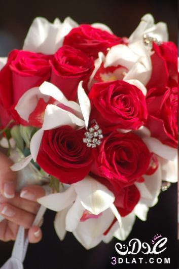 صور بوكيه ورد للعروسه جميله 2024 احلى بوكية وردة العروس