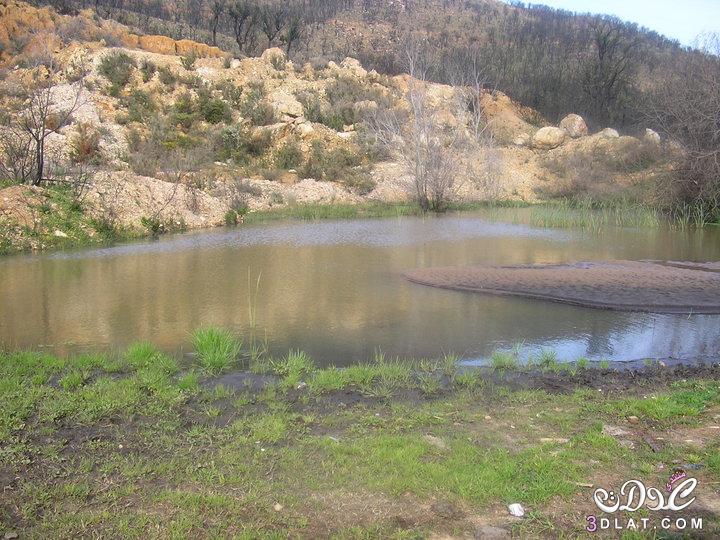 بحيرة طونغا الجزائرية ، سبحان من أبدع وصور ، و ما أحلاها بلادي