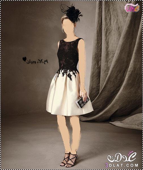 فساتين قصيرة رائعة للسهرات من pronovias barcelona,اجمل الفساتين القصيرة لمناسبات 2024