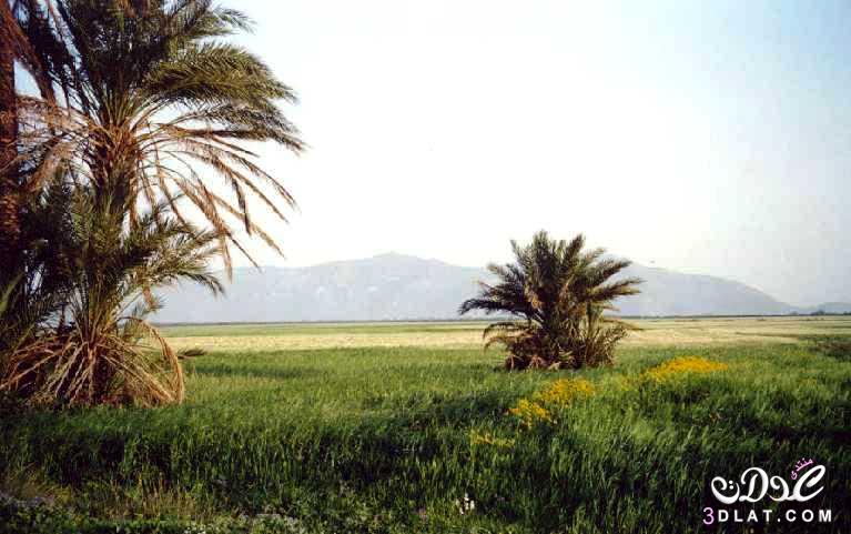 تونس الخضراء... مشاهد طبيعية تخطف الأبصار