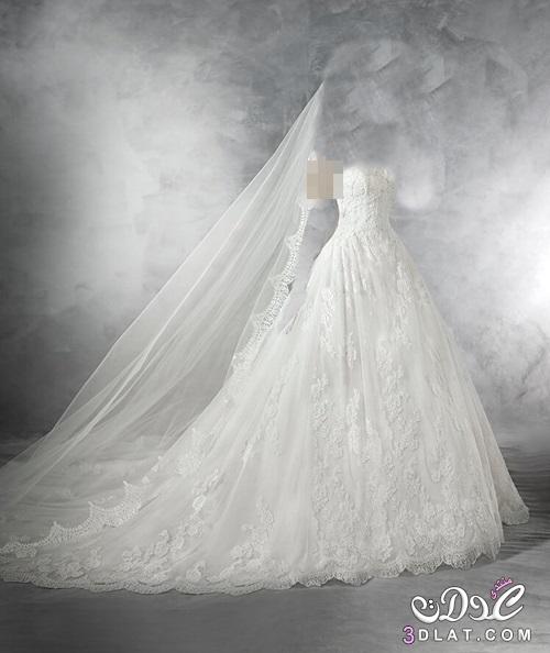 فساتين زفاف 2024,تصميمات عالمية لفساتين الزفاف2024,فساتين زفاف ناعمه Wedding Dresses