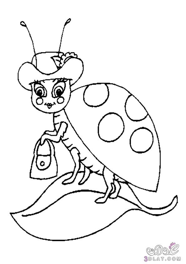 Ladybug Coloring Pages , صور تلوين الدعسوقه للاطفال