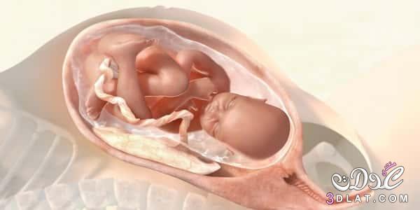 الولادة, علامات قرب الولادة الأكيدة,اعراض الولادة, مايجب فعله عند الشعور بقرب  الولادة